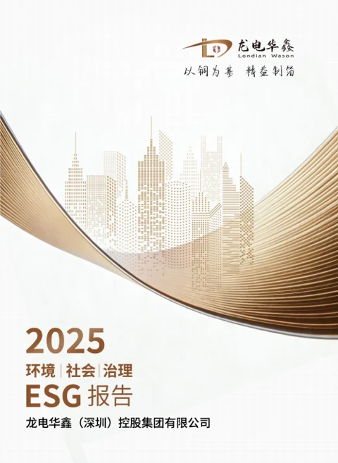 龙电华鑫2025年度环境、社会和治理（ESG）报告代表封面